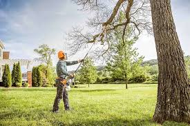 Best Lawn Pest Prevention  in Runge, TX